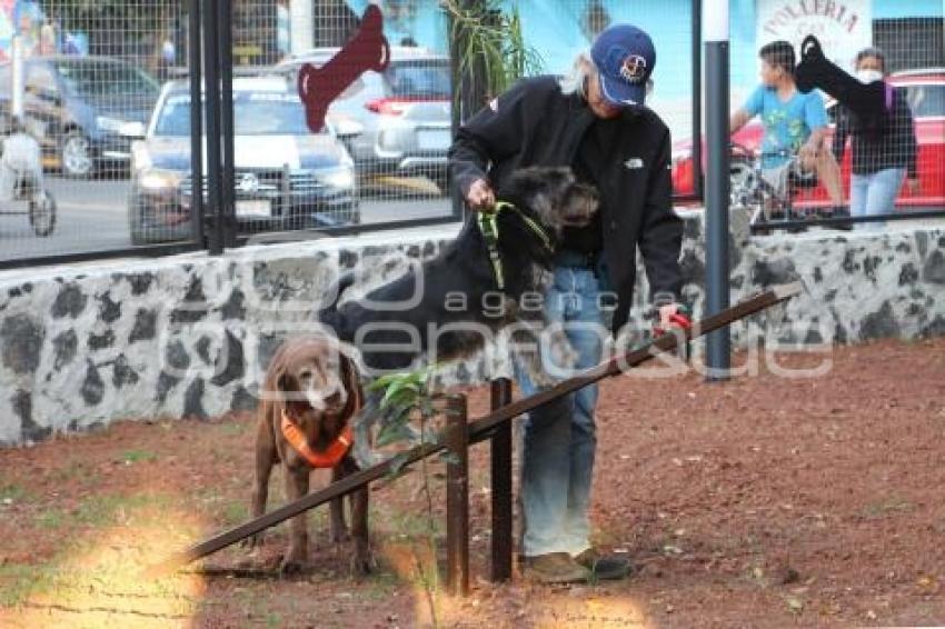 ATLIXCO . PARQUE DE MASCOTAS