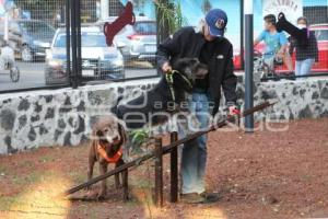 ATLIXCO . PARQUE DE MASCOTAS