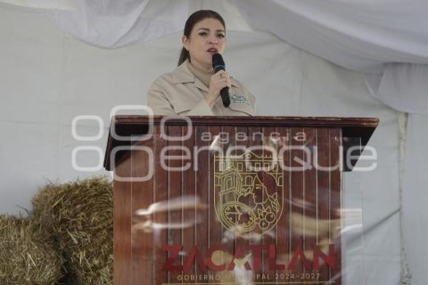 BEATRIZ SÁNCHEZ GALINDO