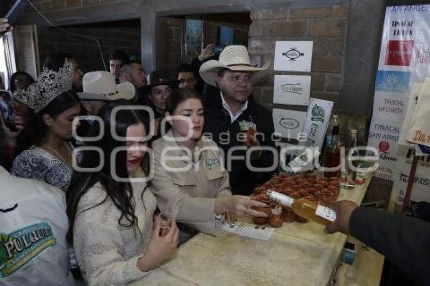 ZACATLÁN . FERIA DEL PULQUE
