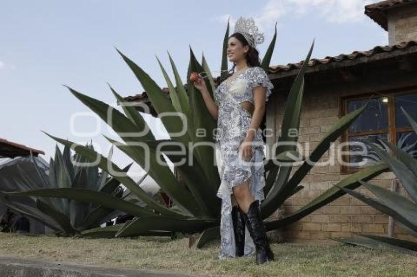 ZACATLÁN . FERIA DEL PULQUE