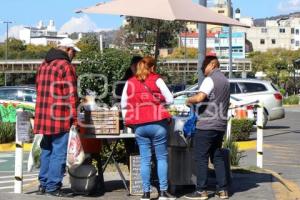 TLAXCALA . TAMALES