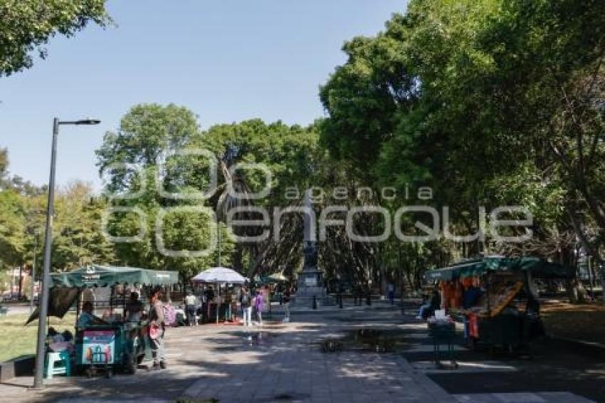 PASEO BRAVO