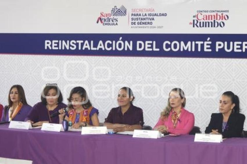 SAN ANDRÉS CHOLULA . COMITÉ PUERTA VIOLETA