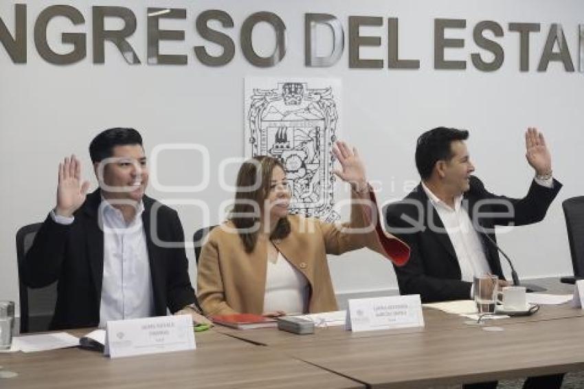 CONGRESO . COMISIÓN CONTROL Y VIGILANCIA