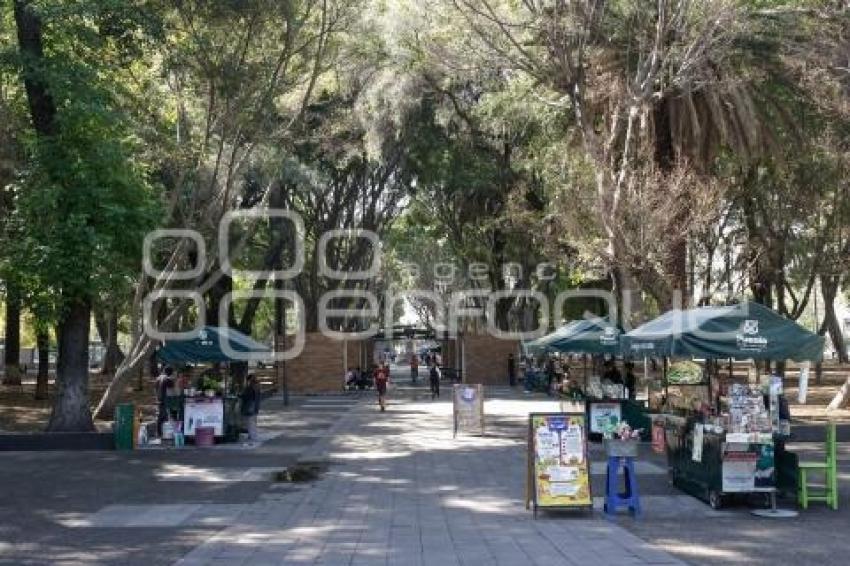 PASEO BRAVO