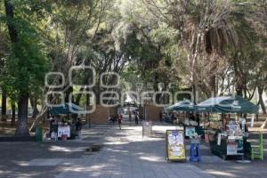 PASEO BRAVO