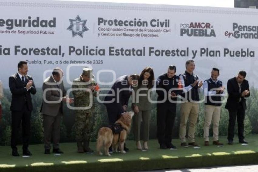 GOBIERNO ESTATAL . PLAN PUEBLA
