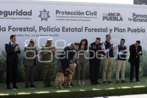 GOBIERNO ESTATAL . PLAN PUEBLA