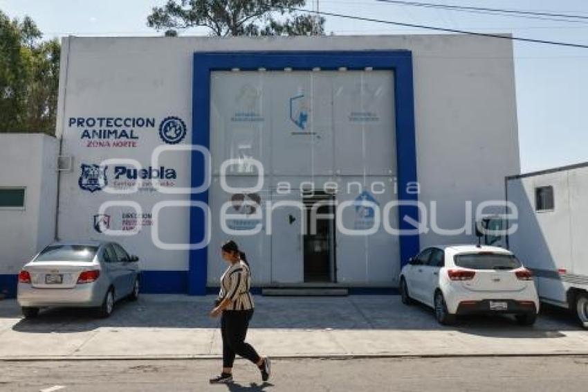 AYUNTAMIENTO . PROTECCIÓN ANIMAL