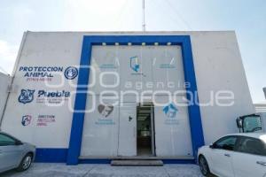 AYUNTAMIENTO . PROTECCIÓN ANIMAL