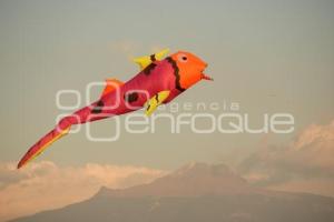TLAXCALA . FESTIVAL DEL PAPALOTE