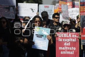 ANIMALISTAS . MANIFESTACIÓN