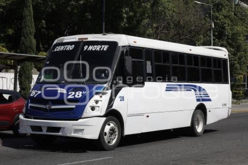 TRANSPORTE PÚBLICO