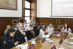 COMISIÓN DE PROTECCIÓN CIVIL