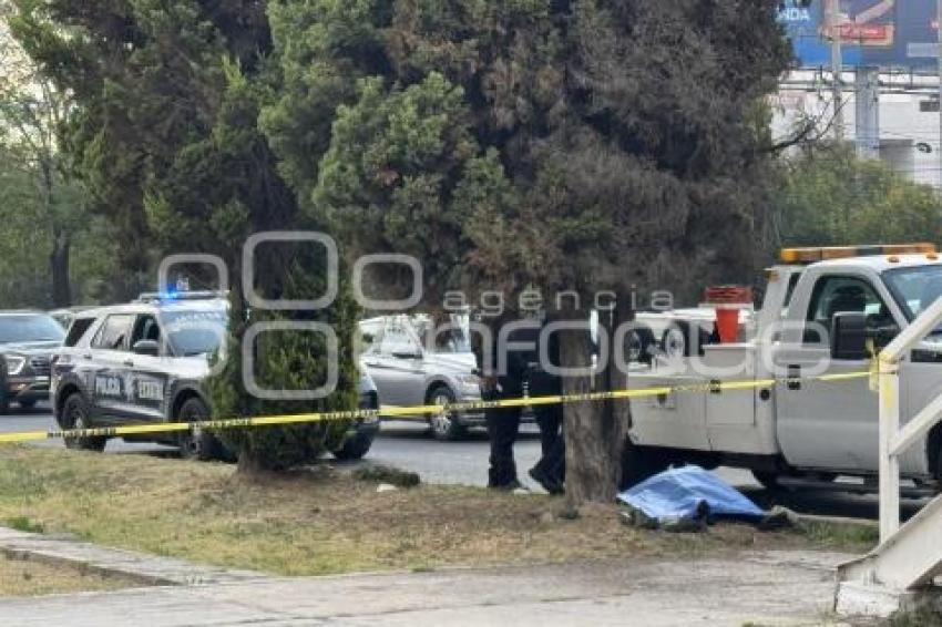 ACCIDENTE MOTOCICLISTA