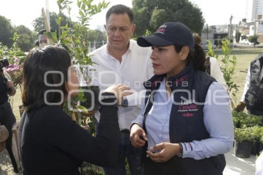 SAN ANDRÉS CHOLULA . ADOPTA UN ÁRBOL