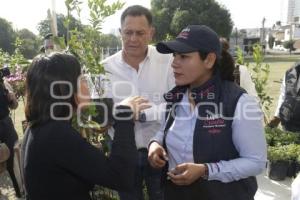 SAN ANDRÉS CHOLULA . ADOPTA UN ÁRBOL