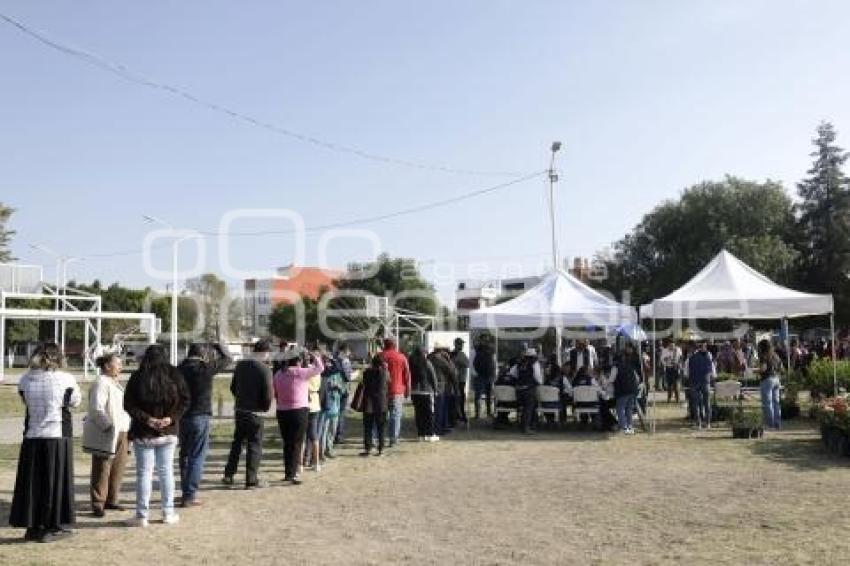 SAN ANDRÉS CHOLULA . ADOPTA UN ÁRBOL