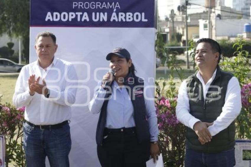 SAN ANDRÉS CHOLULA . ADOPTA UN ÁRBOL