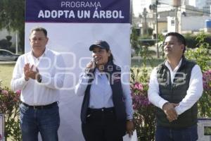 SAN ANDRÉS CHOLULA . ADOPTA UN ÁRBOL