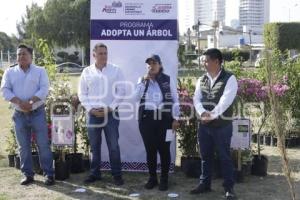 SAN ANDRÉS CHOLULA . ADOPTA UN ÁRBOL