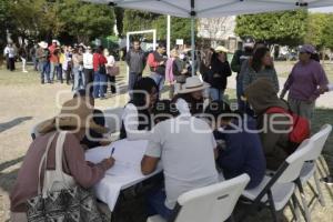 SAN ANDRÉS CHOLULA . ADOPTA UN ÁRBOL