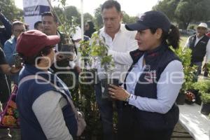 SAN ANDRÉS CHOLULA . ADOPTA UN ÁRBOL
