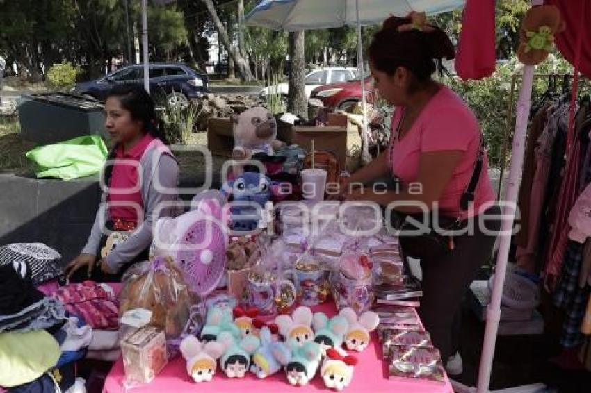 AMTU . PASEO BRAVO