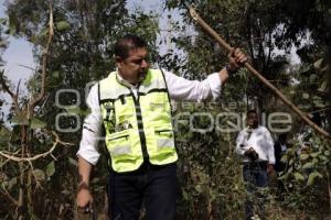 GOBIERNO ESTATAL . FAENA