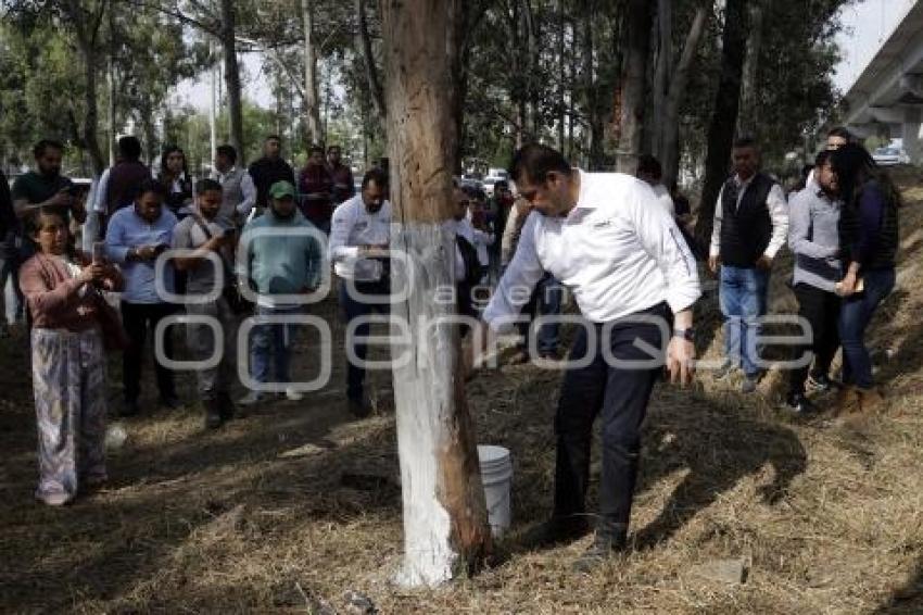GOBIERNO ESTATAL . FAENA COMUNITARIA