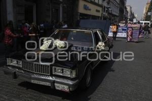 MANIFESTACIÓN . VETERINARIOS