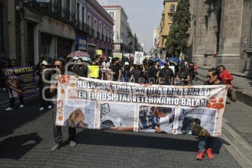 MANIFESTACIÓN . VETERINARIOS
