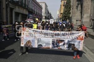 MANIFESTACIÓN . VETERINARIOS