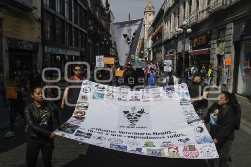 MANIFESTACIÓN . VETERINARIOS