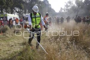 GOBIERNO ESTATAL . FAENA