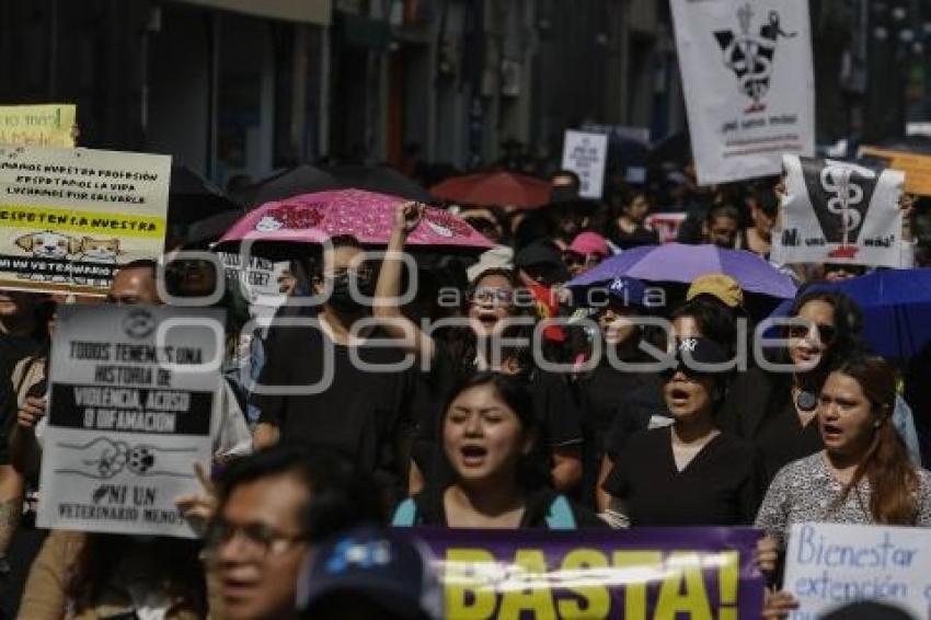 MANIFESTACIÓN . VETERINARIOS