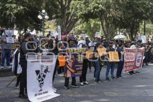 MANIFESTACIÓN . VETERINARIOS