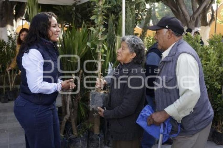 SAN ANDRÉS CHOLULA . ADOPTA UN ÁRBOL