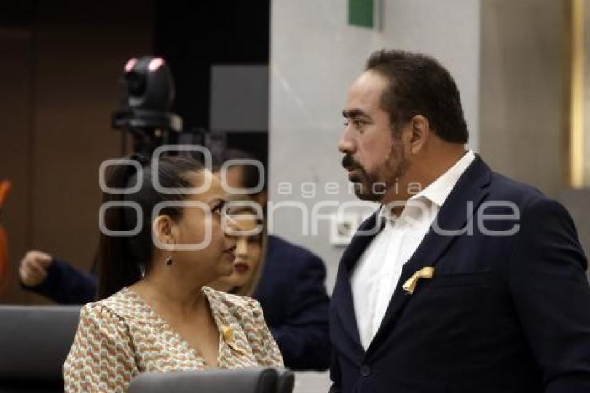 CONGRESO . SESIÓN ORDINARIA