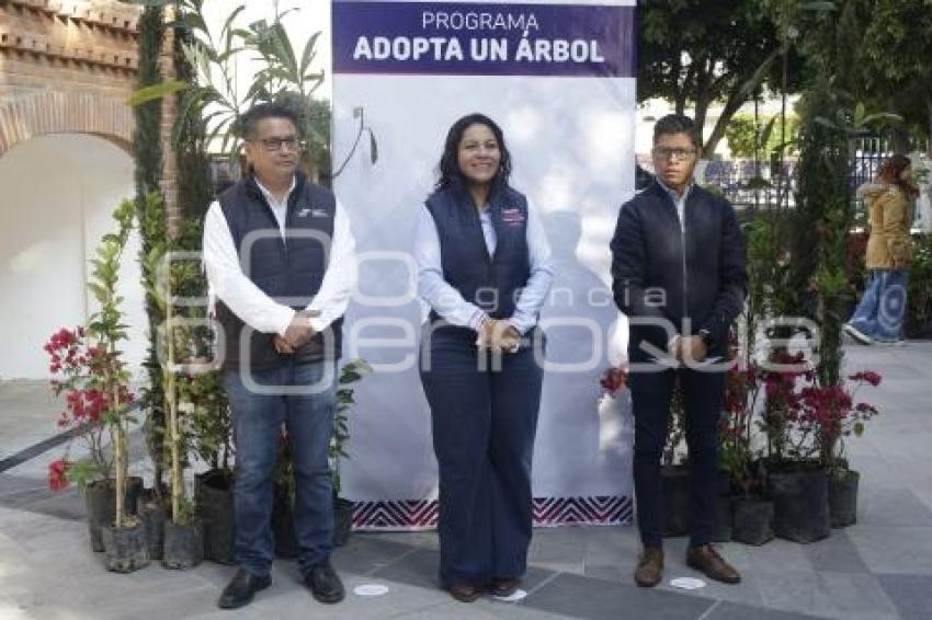 SAN ANDRÉS CHOLULA . ADOPTA UN ÁRBOL