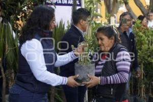 SAN ANDRÉS CHOLULA . ADOPTA UN ÁRBOL