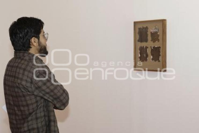 MUSEO AMPARO . INSTRUCCIONES PARA VIVIR