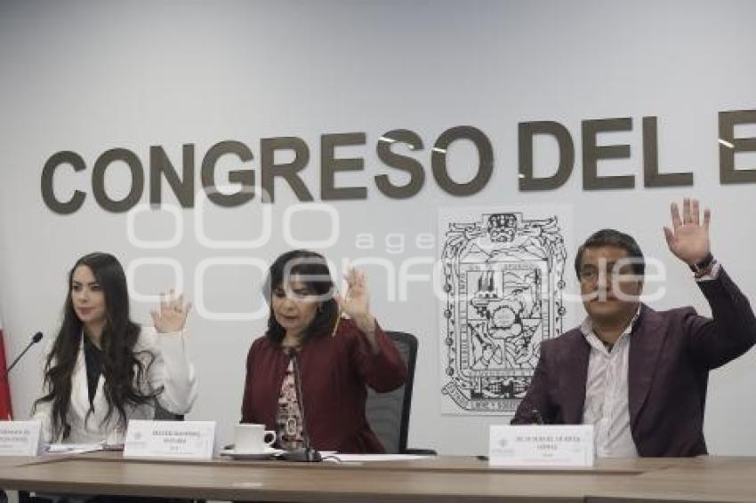 COMISIÓN  DE LA FAMILIA