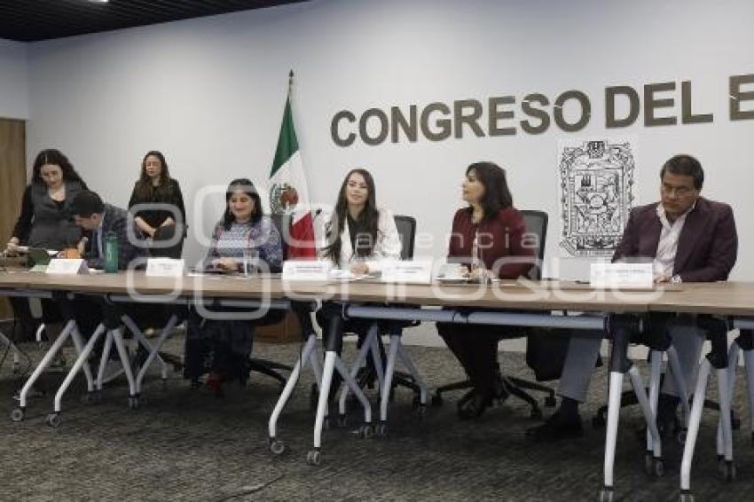 COMISIÓN  DE LA FAMILIA