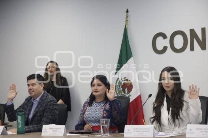 COMISIÓN  DE LA FAMILIA