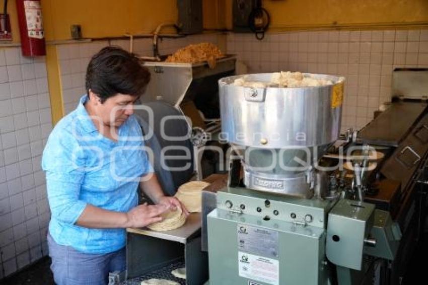 TLAXCALA . PRECIO TORTILLA