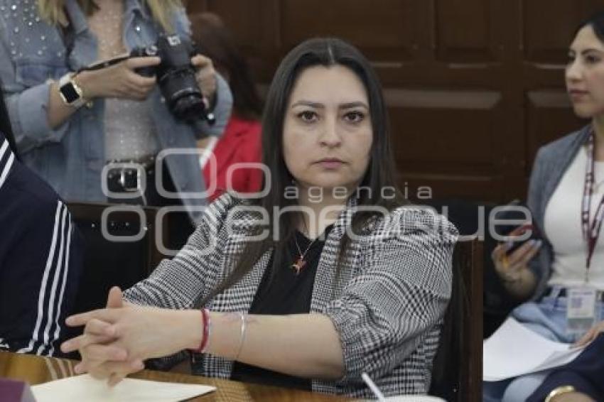 COMISIÓN DE DESARROLLO ECONÓMICO