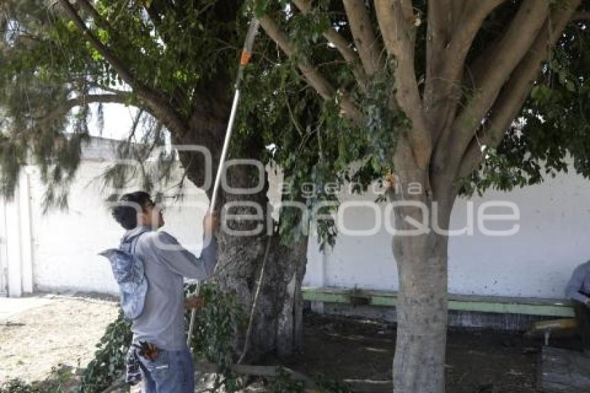 GOBIERNO ESTATAL . FAENA COMUNITARIA