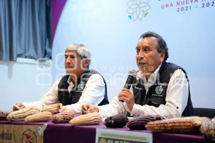 TLAXCALA . FESTIVAL DEL MAÍZ